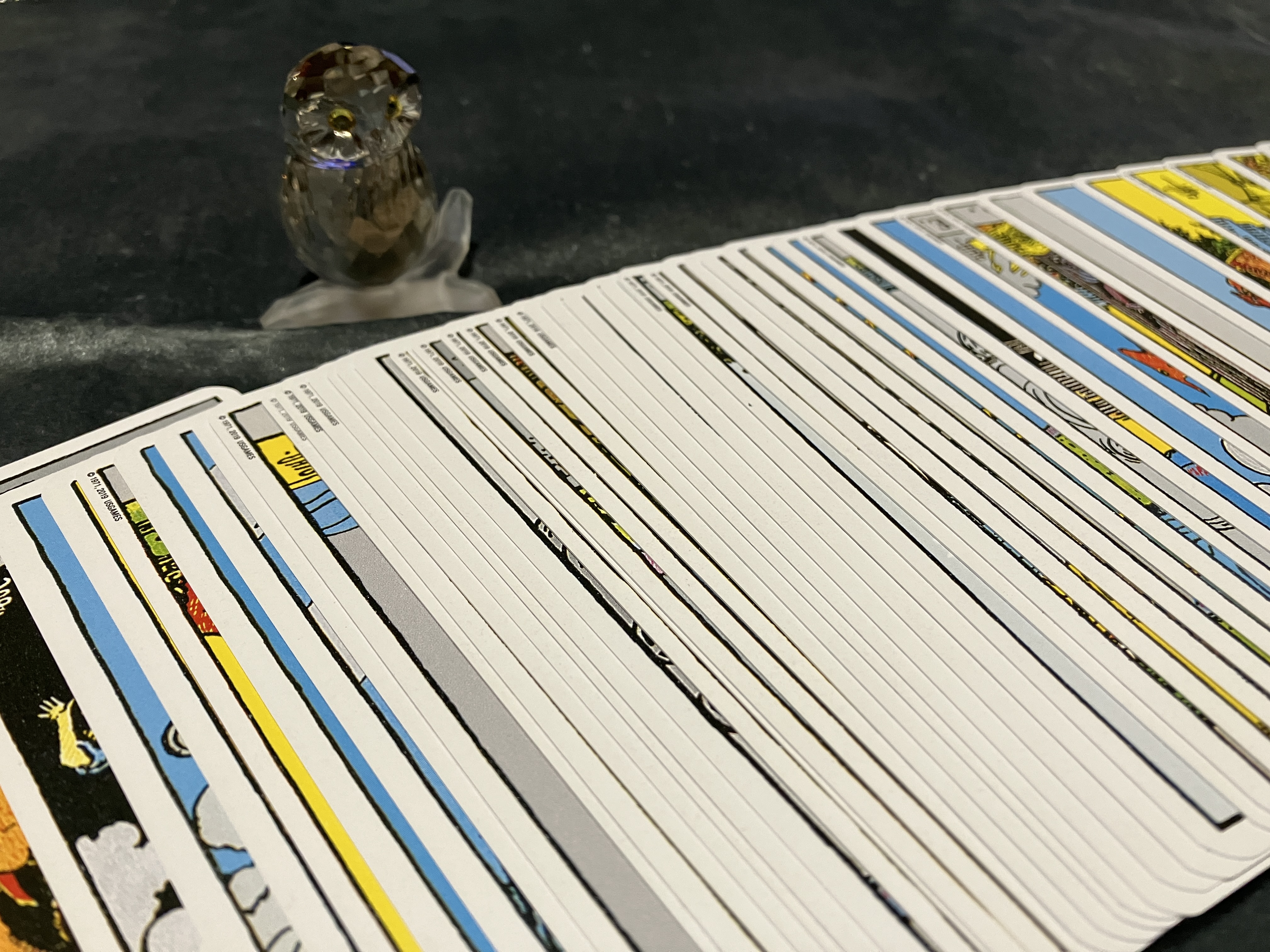 占い師深志のお気に入り写真2